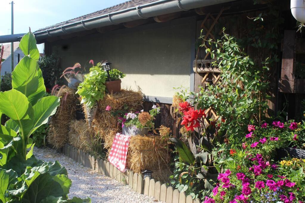 Maisonnette Bindernheim Exterior photo